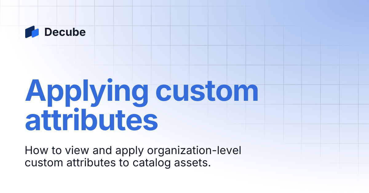 Applying custom attributes to catalog assets | Decube
